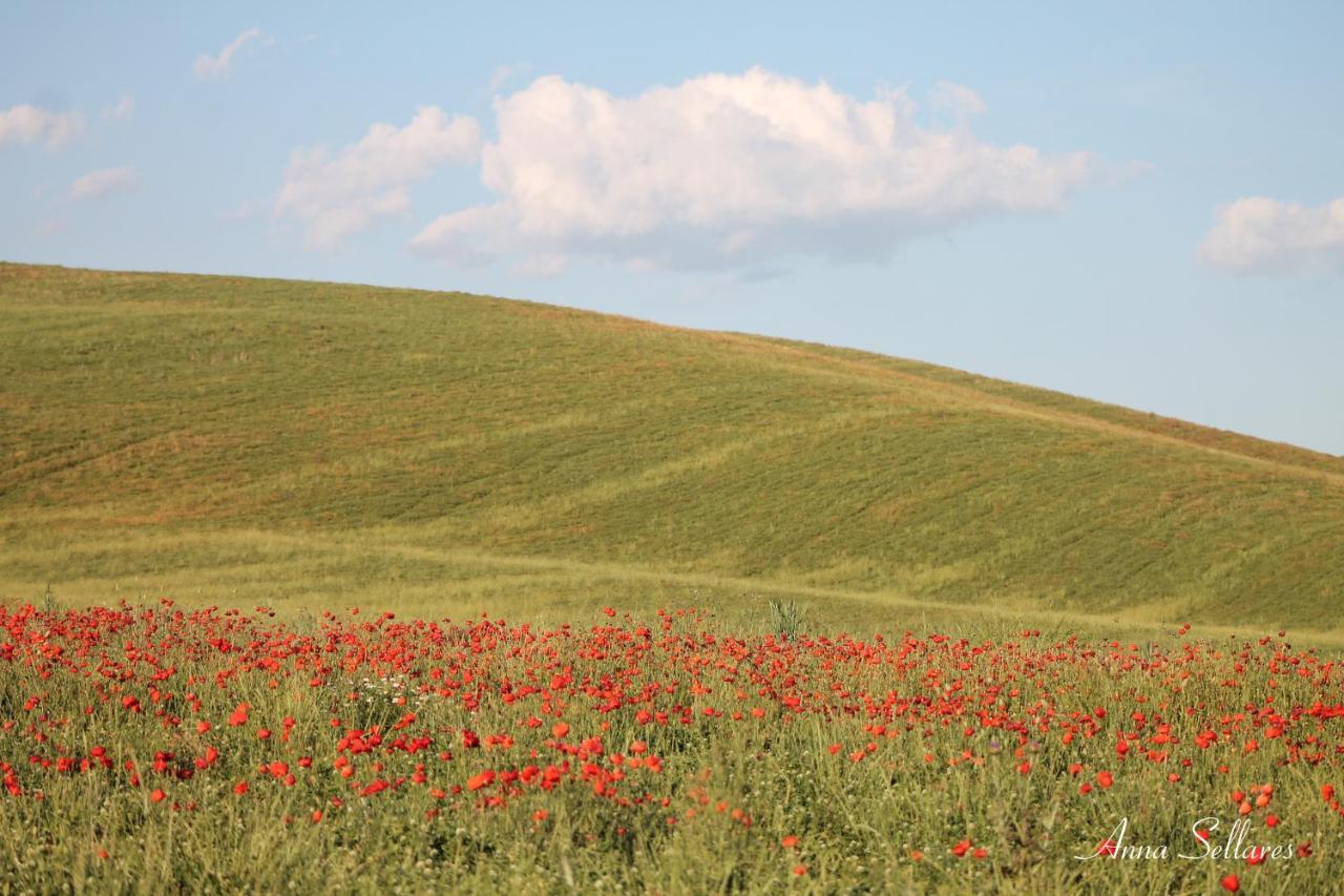 Soleluna San Quirico dʼOrcia Exterior foto